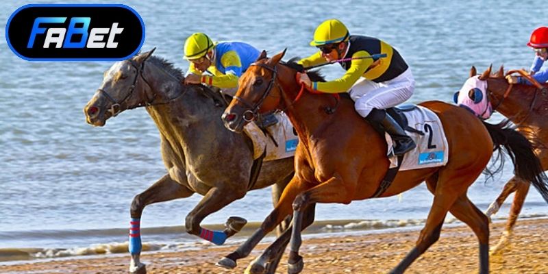 Áp dụng chiến thuật thông minh khi dự đoán kết quả