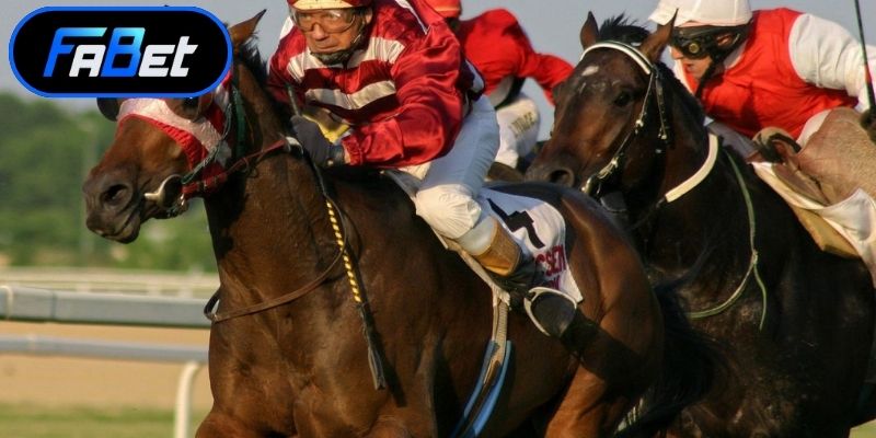 Hướng Dẫn Đua Ngựa Đỉnh Cao Để Chinh Phục Mọi Đường Đua