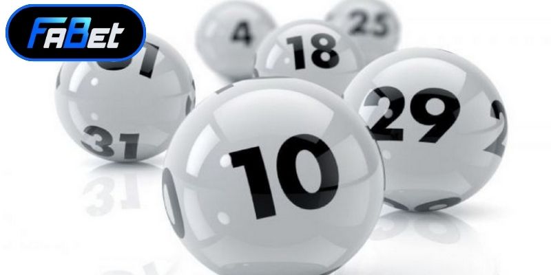 Những kinh nghiệm cần thiết để nuôi khung số an toàn