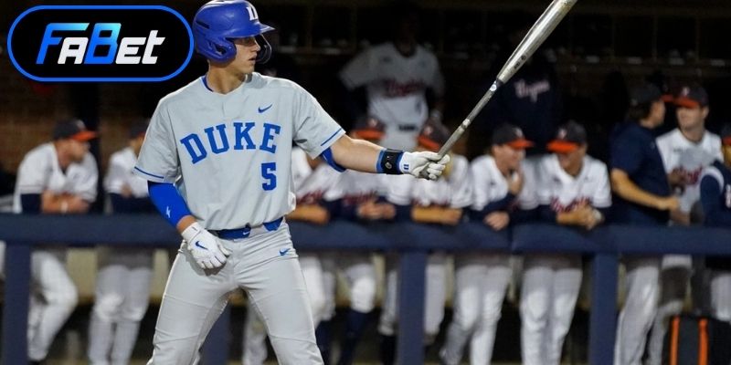 Sự phát triển bền vững của bộ môn bóng chày