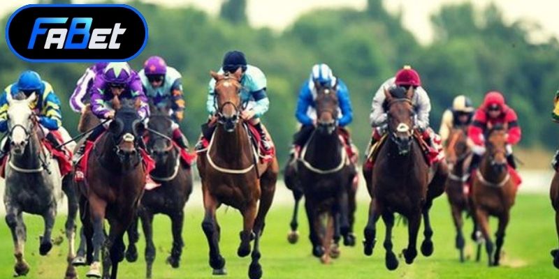 Thực hiện các bước đặt cược theo quy trình chuẩn