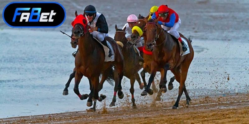 Tìm hiểu hướng dẫn đua ngựa để bắt đầu cá cược